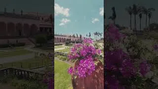 Thumbnail: The John and Mable Ringling Museum of Art. Florida #shorts
