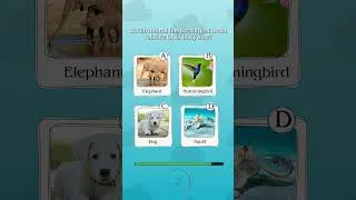 Thumbnail: How Smart Are You? | General Knowledge Quiz  #animals #quiz #shorts