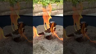 Thumbnail: Jurassic World Dinosaur Toy Hatchling🔥ON FIRE🔥 #Shorts