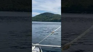 Thumbnail: Dumagsa Nanamn Sa Harap Ng Isla Namin Ang Mga Ganitong Kawan