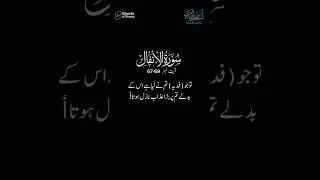Thumbnail: Surah Anfaal Ayat No 67-69 Urdu Tarjuma Verse by Verse #shorts #surahanfal #ytshort #mashallah