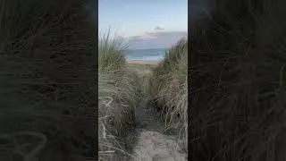 Thumbnail: I've Been Away - But I have also Been busy Recording New Sounds #oceanwaves