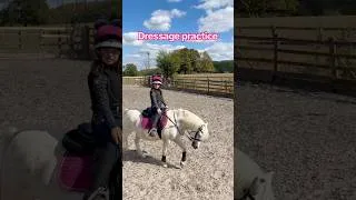 Thumbnail: Dressage practice with my babe #ponies #horse #equestrian #horsegirl #pony #ponyriding #dressage