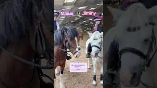 Thumbnail: Maisie and Jimmy are the cutest 💜 #ponies #horse #equestrian #horsegirls #equestrian #ponylife #fyp