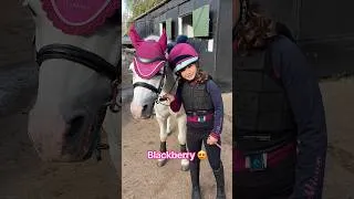 Thumbnail: Who likes blackberry?  #lemieux #blackberry #autumn #ponies #horsegirl #horse #equestrian #fypシ