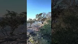 Thumbnail: Old Baldy in Garner State Park #travel #wickedoutdooradventures #nature #hiking #naturelovers