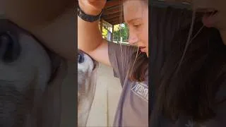 Thumbnail: These Summer Calves yall... #comedy