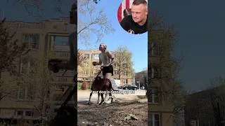 Thumbnail: When Dog Owners Lose Control!