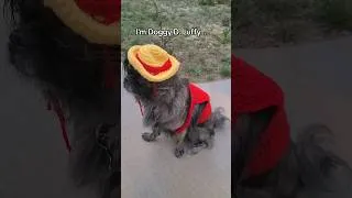 Thumbnail: One Piece if it were DOGGY D. LUFFY 🐶🏴‍☠️