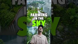 Thumbnail: A Food Forest on the 51st Floor!