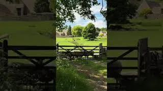 Thumbnail: Life in the countryside