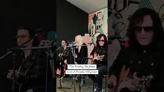 Thumbnail: The Pretty Reckless - Live At Amoeba