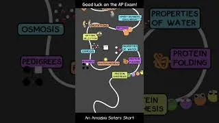Thumbnail: Amoeba Sisters AP Bio Test Pep Talk #apbio #apbiology