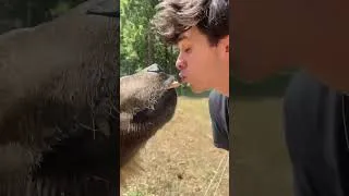 Thumbnail: Just me and Bae 🐻❤️ @brentrivera