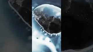 Thumbnail: The Hypnotic Reaction of Ferrofluid, Oil & Alcohol Ink 🖤✨