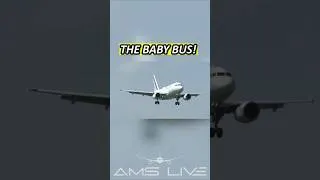 Thumbnail: The RAREST Airbus? 👀✈️ A318 “Baby Bus” at Schiphol