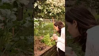 Thumbnail: Slow mornings at home 🐓🧺 #minivlog #slowmorning #countrysidevlog