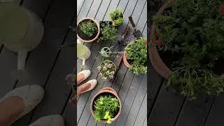 Thumbnail: Happiest in the garden 🌷 #cottagecore #countrysidelife #minivlog