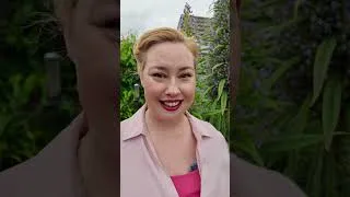 Thumbnail: Best Plant For Bees = Tree Echium