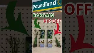 Thumbnail: AVOID This Poundland Fruit Bush Rip Off!!!