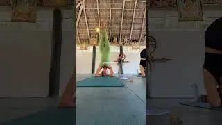 Thumbnail: SUNDAY MORNING VLOG LIVING IN SAYULITA: yoga & home vibes #sayulita