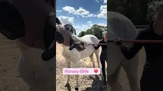 Thumbnail: True Dat… #pyf #horse #equine #equestrian