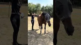 Thumbnail: TB and her TB. Unconventional but soooooo good.