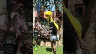 Thumbnail: Making memories🩷 #anaissplatero #relatablecontent #travelvlog #seaworld