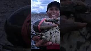 Thumbnail: High-Level Skill: Hunting Giant Crabs