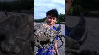 Thumbnail: The Extraordinary Skills of a Coastal Crab Hunter