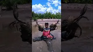 Thumbnail: Amazing High-Level Crab-Hunting Skills