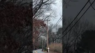 Thumbnail: Follow me
