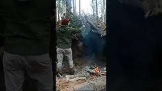 Thumbnail: One day, one night in the wild forest #survival #shelter #camp #primitiveshelter