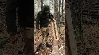 Thumbnail: #bushcraft  #logcabin  #survival #woodworking one minute of life in the forest