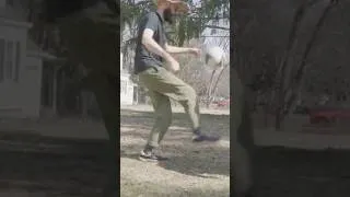 Thumbnail: GOBI SNEAKER / testing vivobarefoot leather soccer shoes #barefootshoes #vivobarefoot #zerodrop