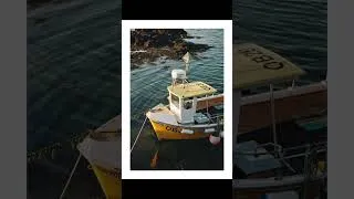 Thumbnail: My first year of film photography #photography