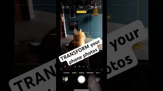 Thumbnail: Steps for BEAUTIFUL phone photos #shorts #exposeforthehighlights