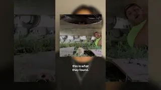 Thumbnail: They Hired A Stray Cat They Found 😅