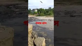 Thumbnail: গঙ্গার গ্রাস। Devouring Ganges River at Birnagar Malda Kaliachak III।।