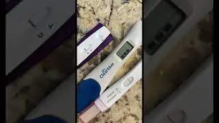 Thumbnail: TAKING 3 DIFFERENT PREGNANCY 🤰🏻 TESTS!!! 12 DAYS DPO