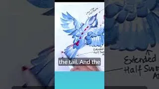 Thumbnail: Where does the bird's tail start?  #birdpainting #art #watercolourpainting