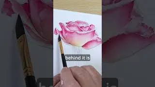 Thumbnail: Make your rose instantly pop with light and shadow #watercolor #art #shorts
