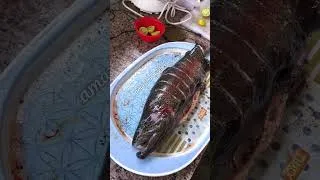 Thumbnail: Live Tawa Fish #ashortaday