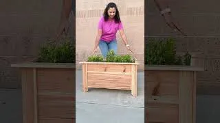 Thumbnail: 3 Easy DIY cedar planters that are ACTUALLY beginner friendly. #woodworking