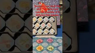 Thumbnail: Create your own coral reef in Shallow Sea #boardgames