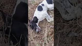 Thumbnail: June was left hanging onto her life…