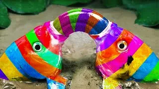 Thumbnail: Fish stop motion asmr - Crocodiles steal the eggs of koi fish #shorts