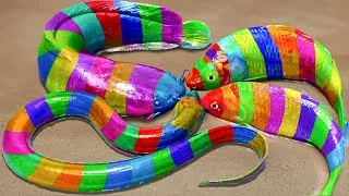 Thumbnail: Catfish hunting colorful koi fish discharge like flash - Fish stop motion asmr #shorts