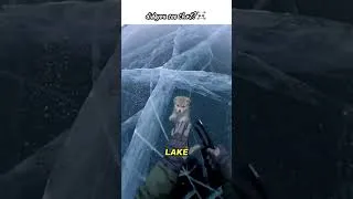 Thumbnail: I found a wolf pup frozen under the lake... 💔😭 #shorts #wolf #rescue
