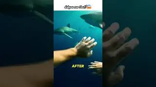 Thumbnail: A shark capsized my boat... but then I saw THIS! 🦈💔💀 #shorts #shark #sharkattack